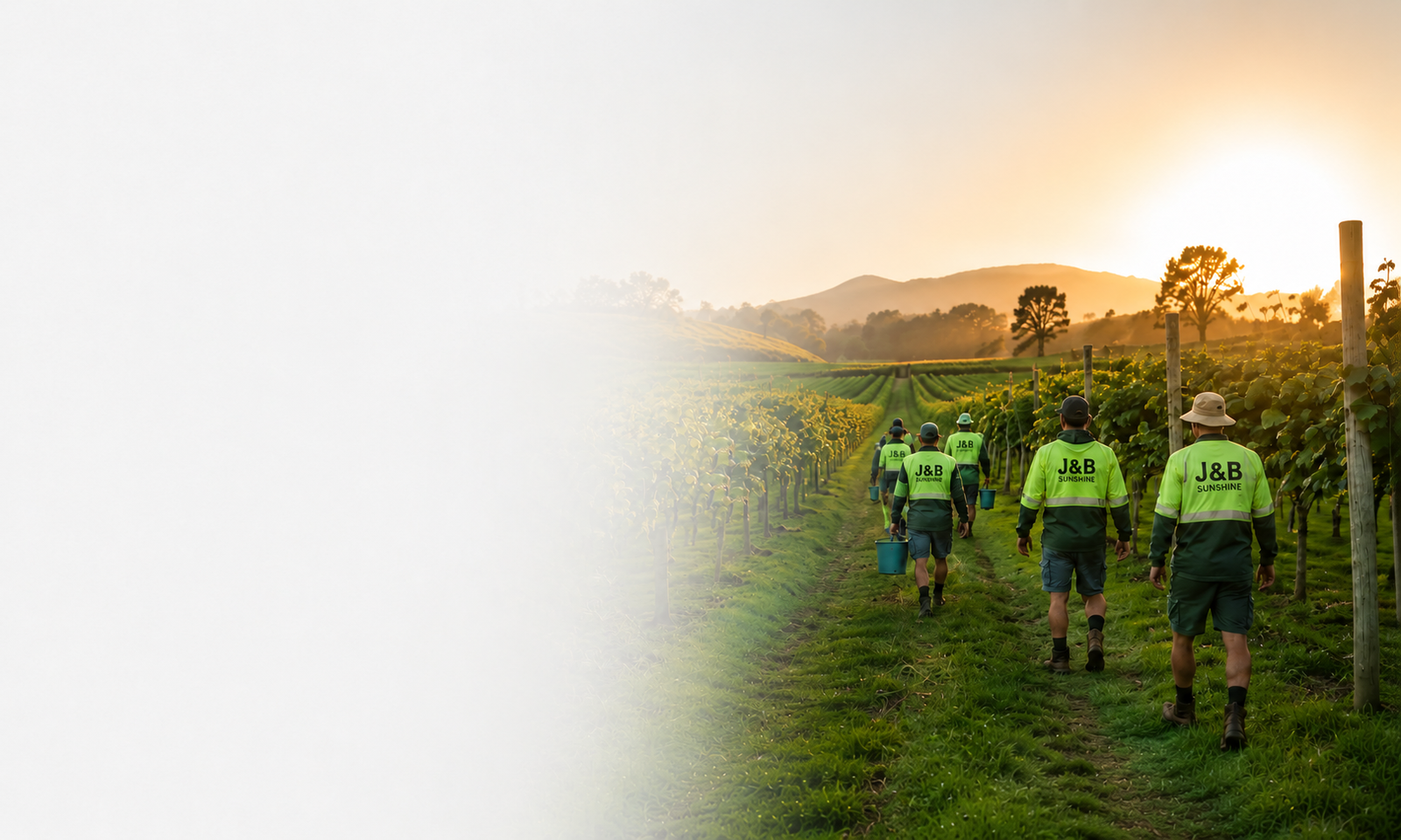 Professional horticultural workforce solutions in New Zealand